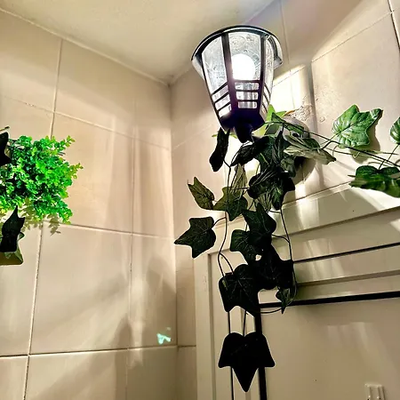 Quiet Comfort Walk Everywhere