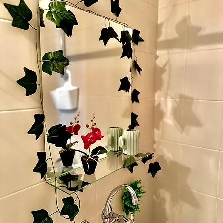 Quiet Comfort Walk Everywhere Varna