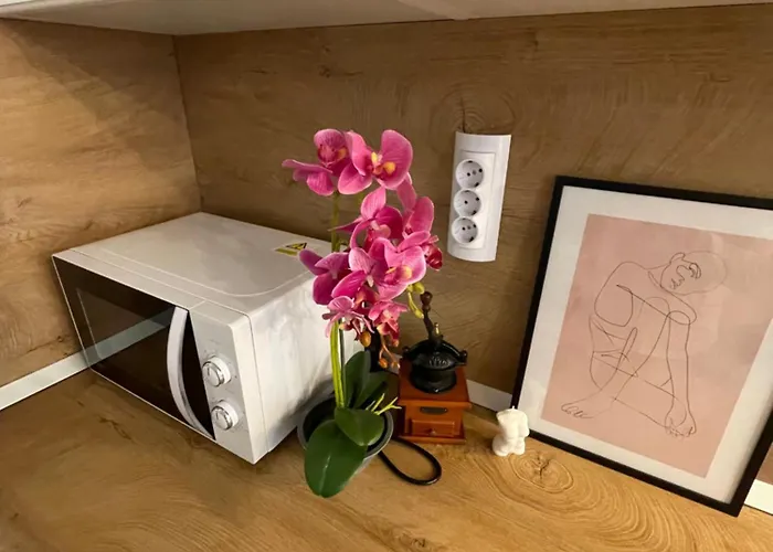 Quiet Comfort Walk Everywhere * Варна