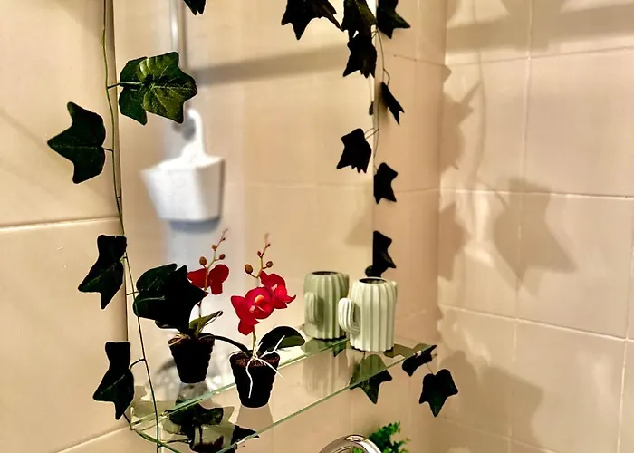 Quiet Comfort Walk Everywhere Varna