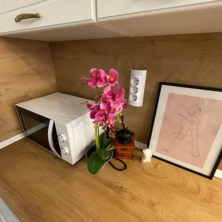 Quiet Comfort Walk Everywhere * וארנה