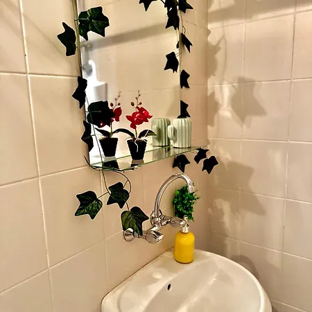 Quiet Comfort Walk Everywhere *