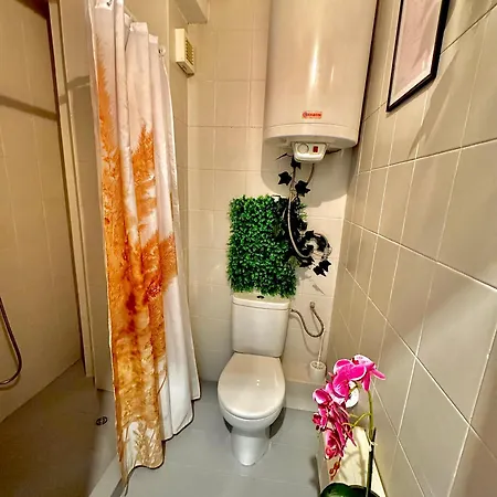 Quiet Comfort Walk Everywhere *