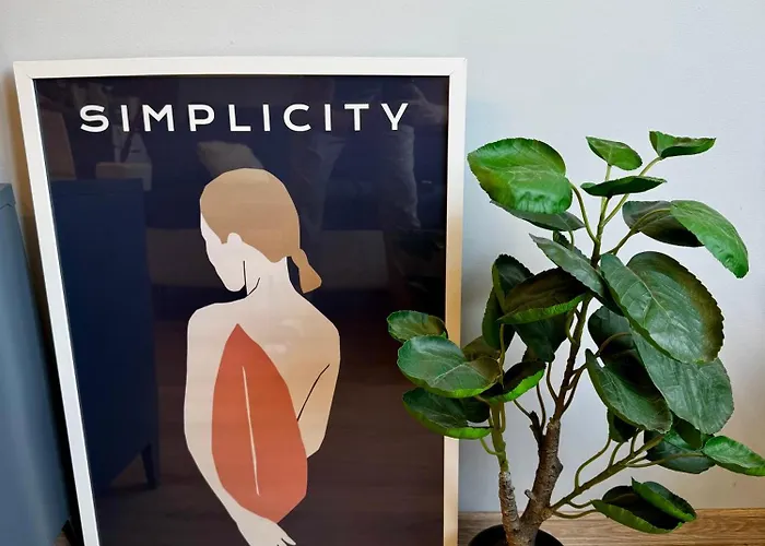 Quiet Comfort Walk Everywhere Varna